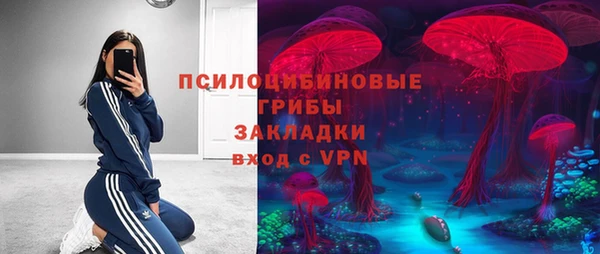 ALPHA-PVP Гусь-Хрустальный
