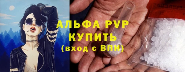 хмурый Гусев