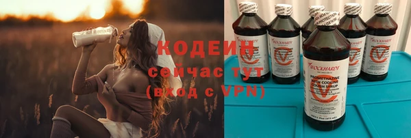 хмурый Гусев