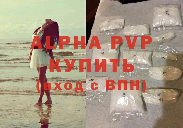 хмурый Гусев