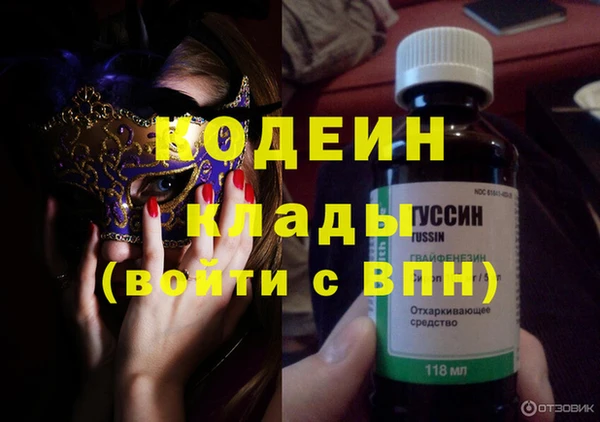 хмурый Гусев