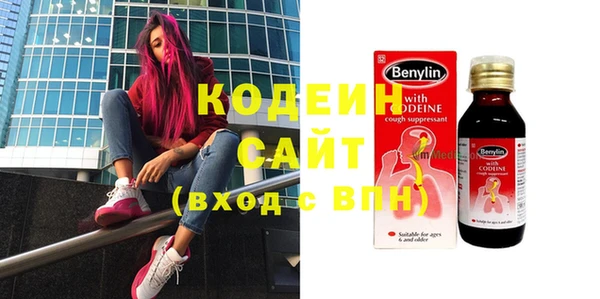 хмурый Гусев