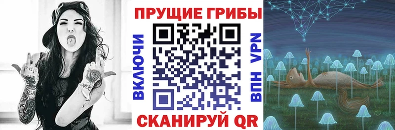 что такое   Севастополь  Галлюциногенные грибы Magic Shrooms 
